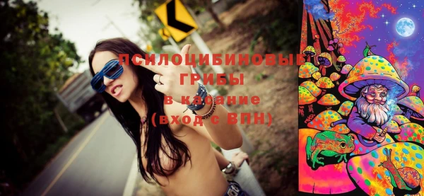 твердый Алексеевка