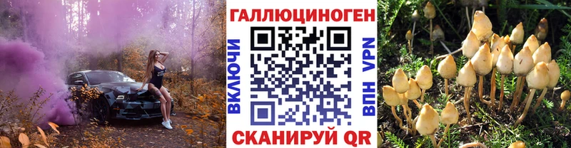 Псилоцибиновые грибы MAGIC MUSHROOMS  даркнет сайт  Красавино 